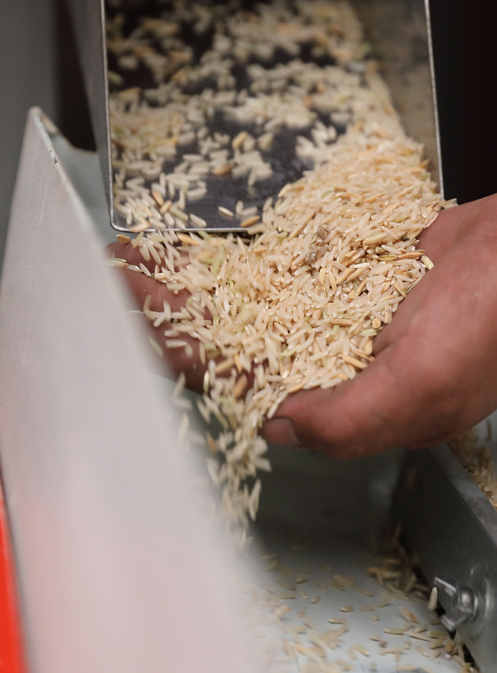 About Sindhu Gangai Rice Mill